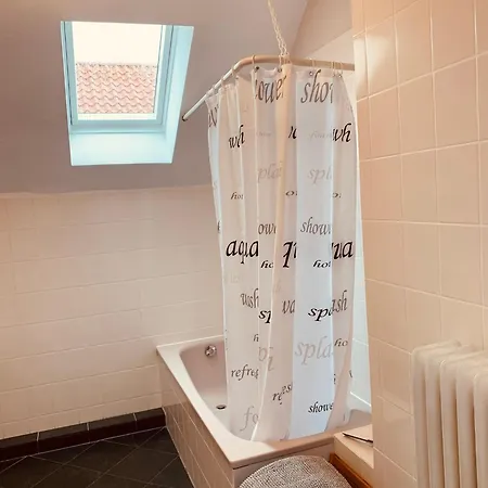 Apartament Mitte